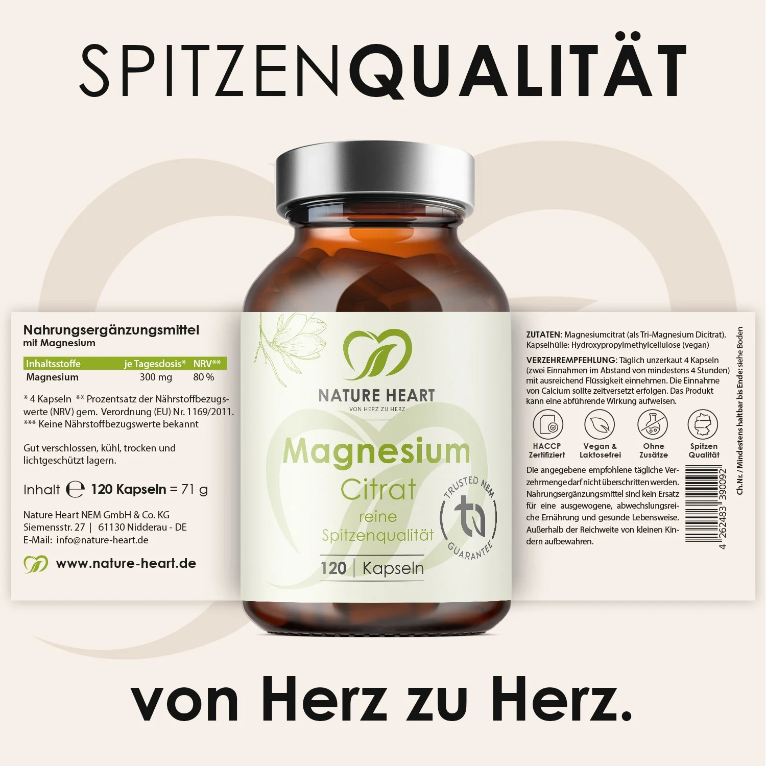 3-Tages Kur - Darm Support Bundle - Image 3