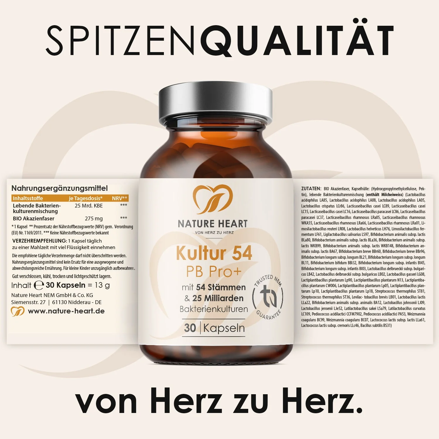 3-Tages Kur - Darm Support Bundle - Image 4