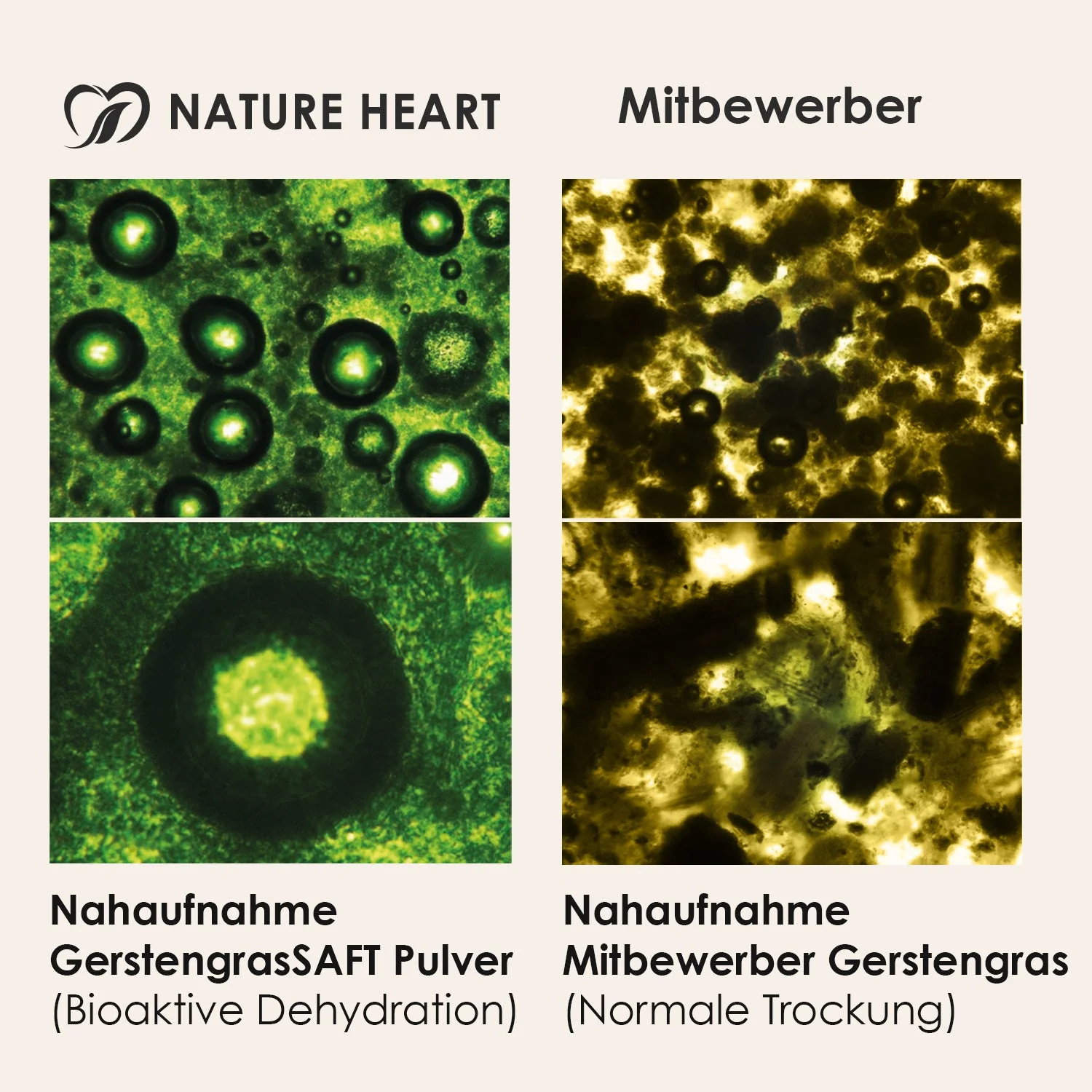 BIO Basisches Grünes Leben - Gerstengrassaft Pulver - Image 5