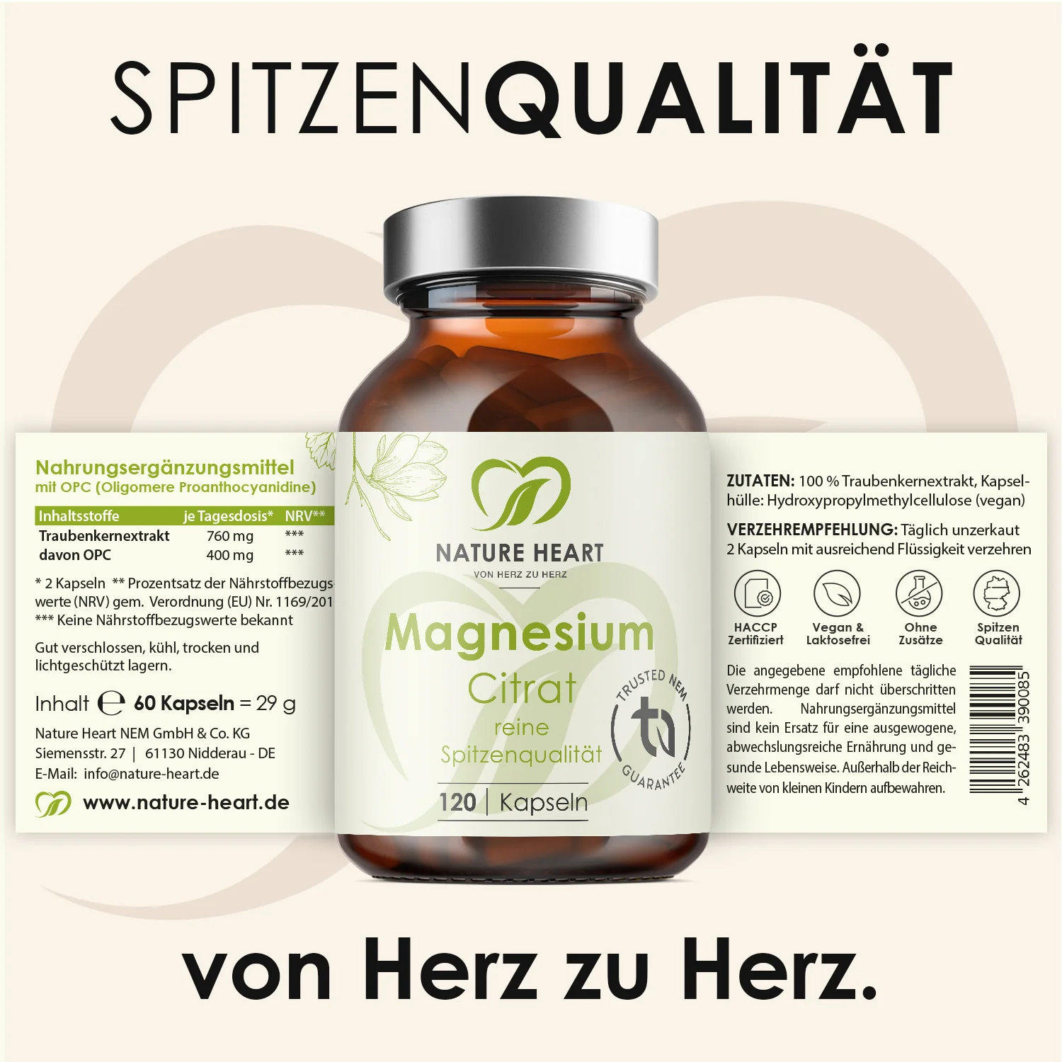Bestseller Bundle - Image 7