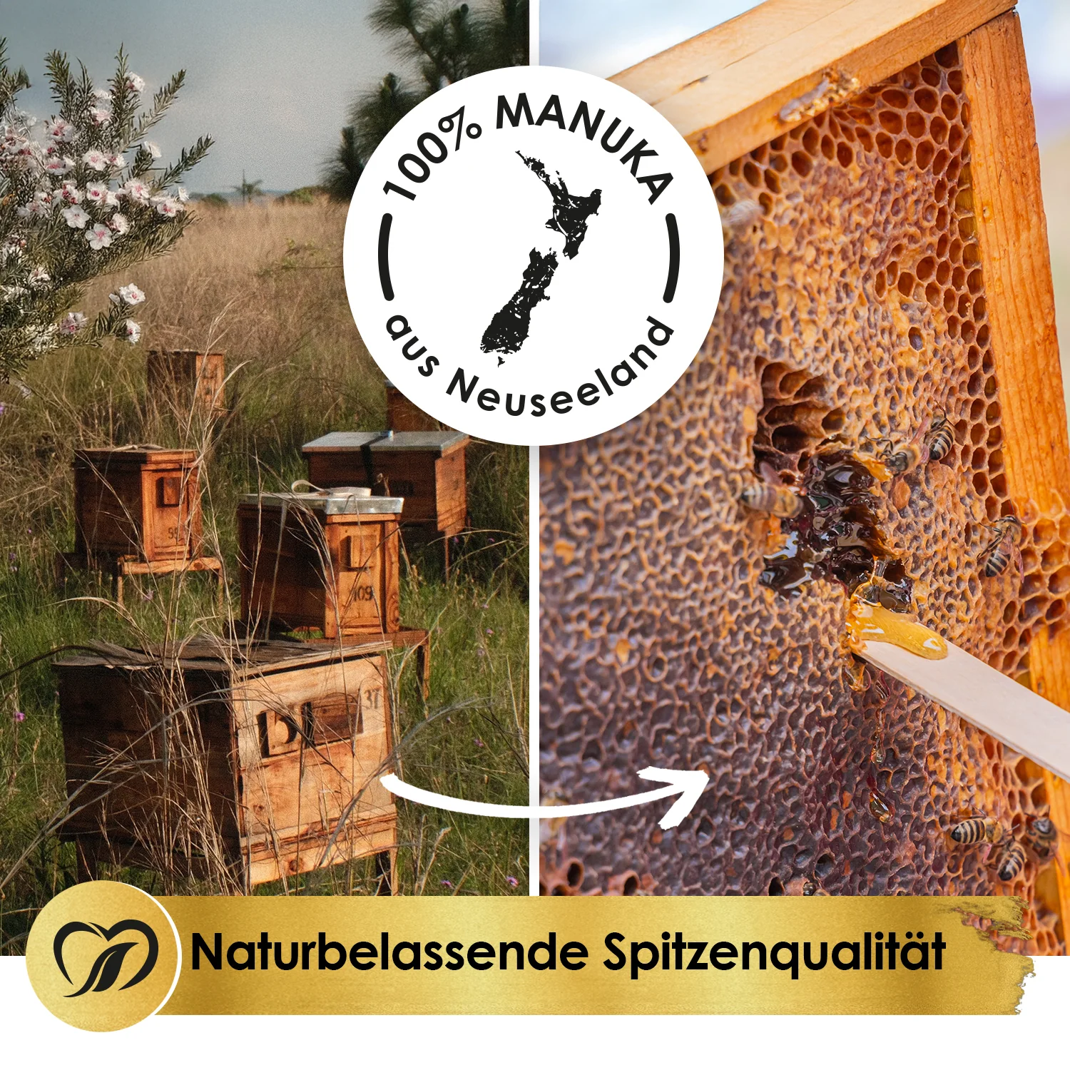 Super Manuka mit Schwarzkümmelöl - Image 4