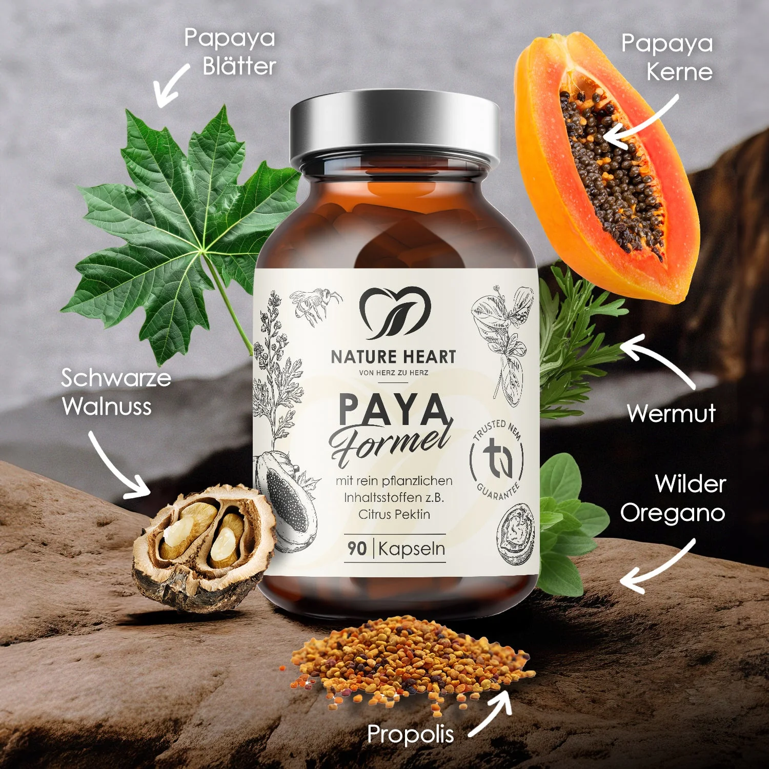 Paya Formel | limitiert - Image 3