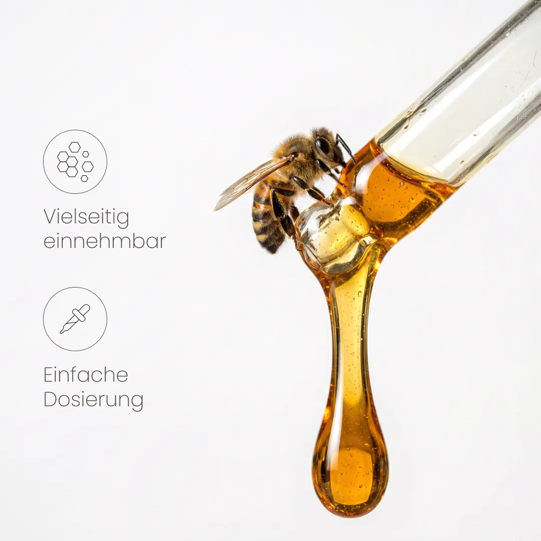 Propolis Pure Elixir - Tropfen - Image 4