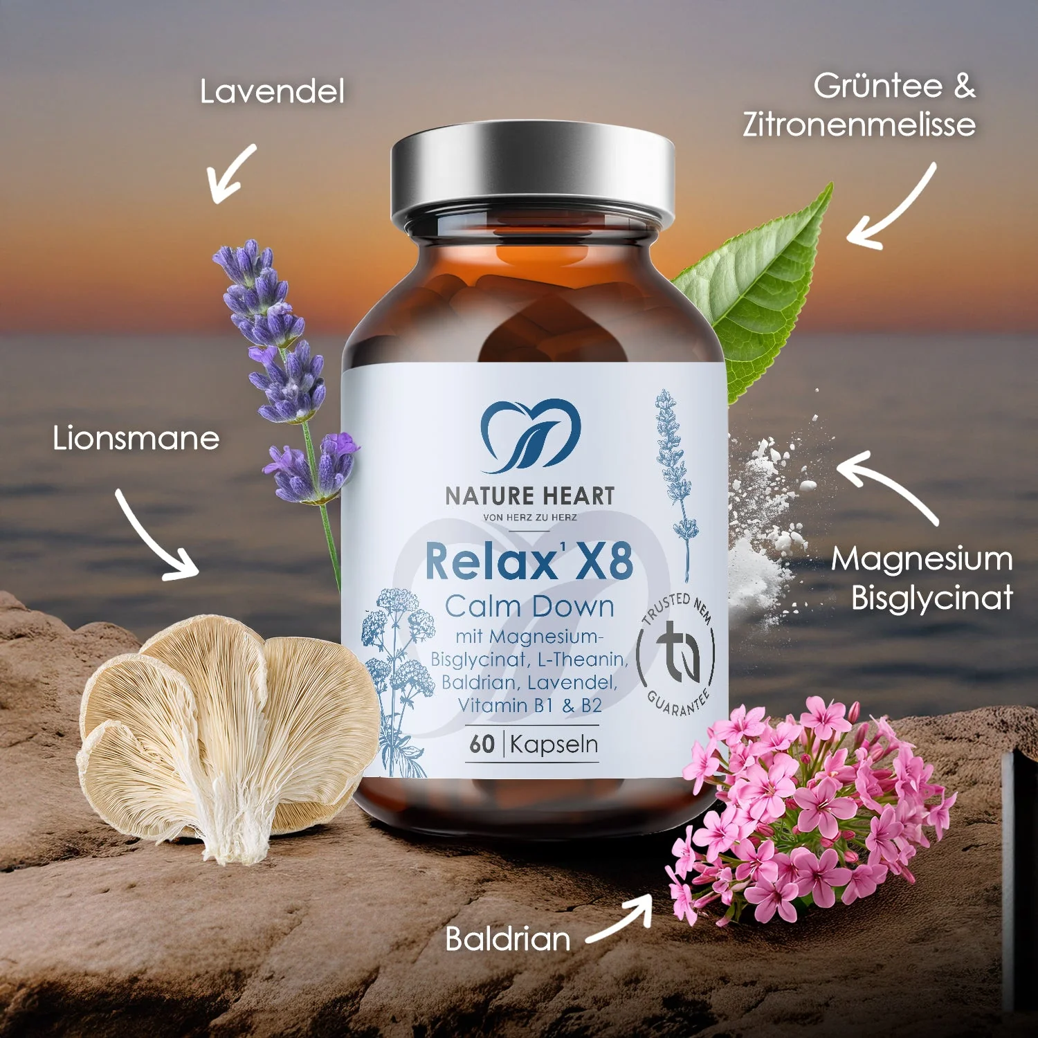 Relax X8 - Image 3
