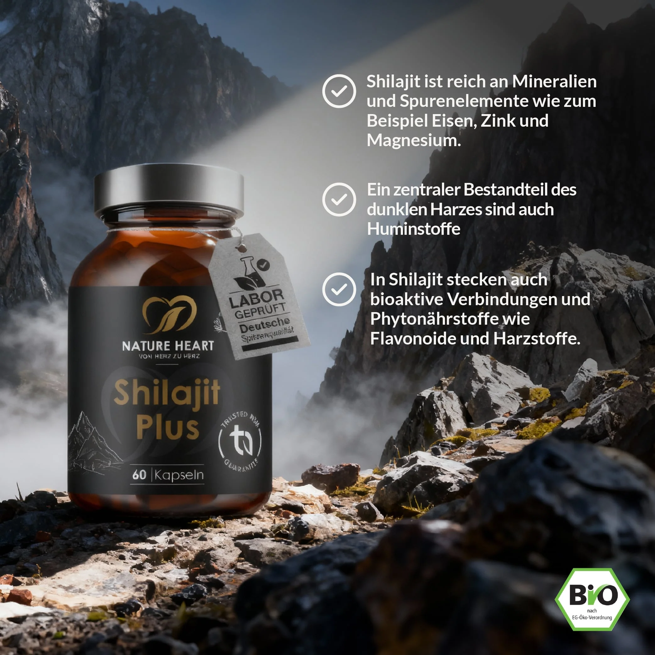 Shilajit - Image 2