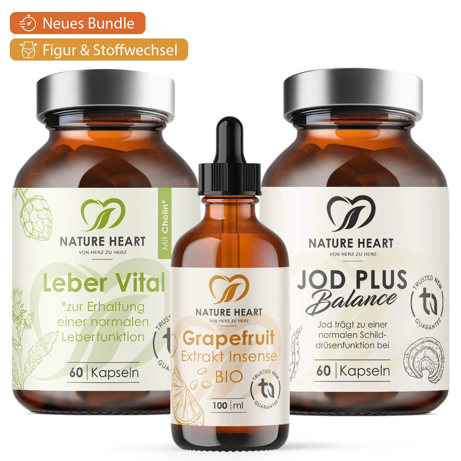 Transformations Figur Bundle